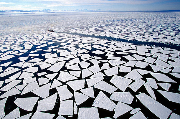 Increased temperatures resulting from a warming climate will cause an increase in sea ice melt.
